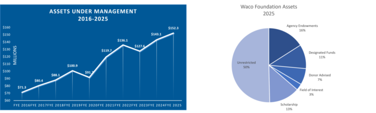 Preview of the Yearly Asset Chart 2025 PDF
